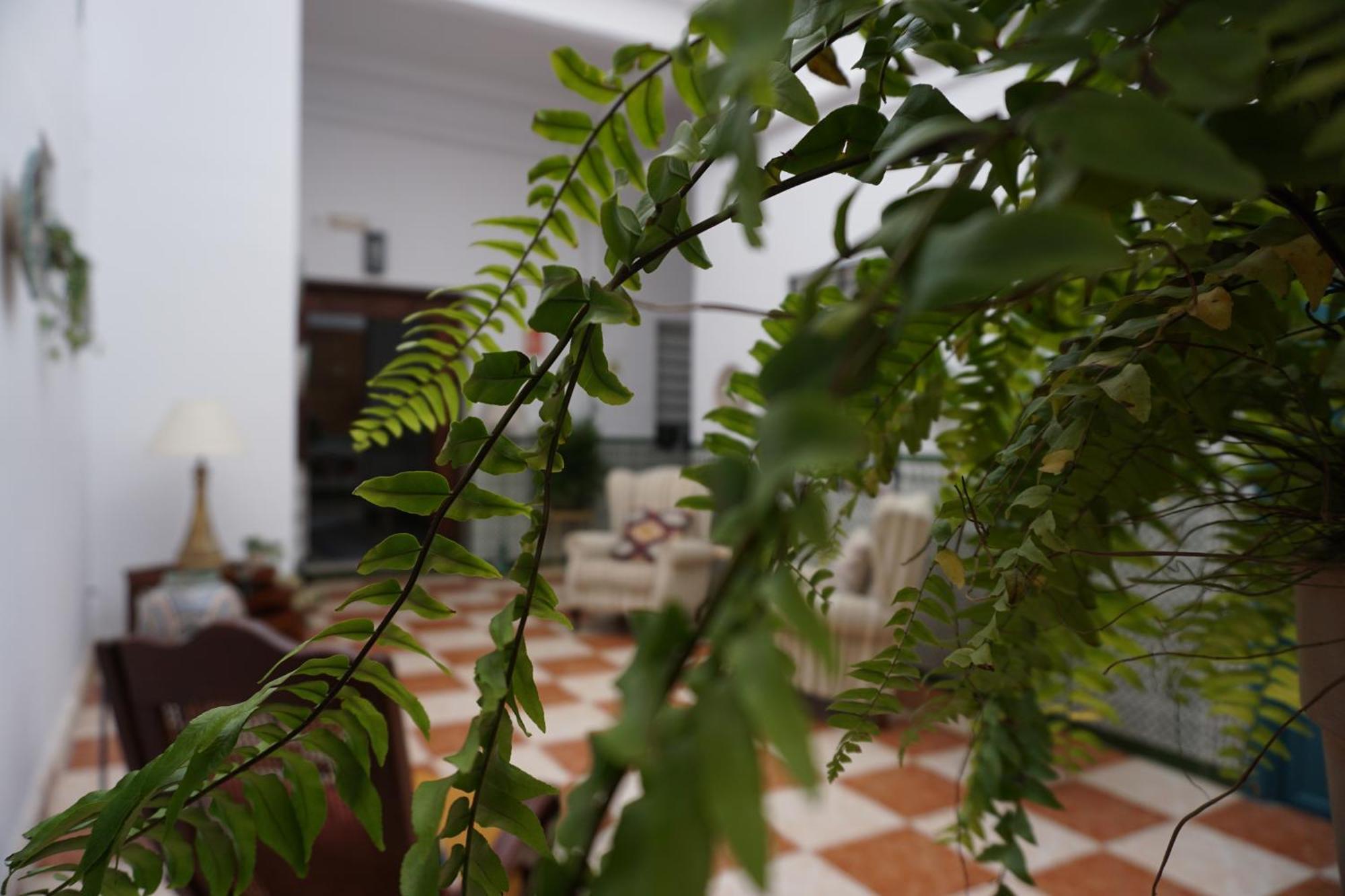 Montserrat Casa Del Mar 치피오나 외부 사진