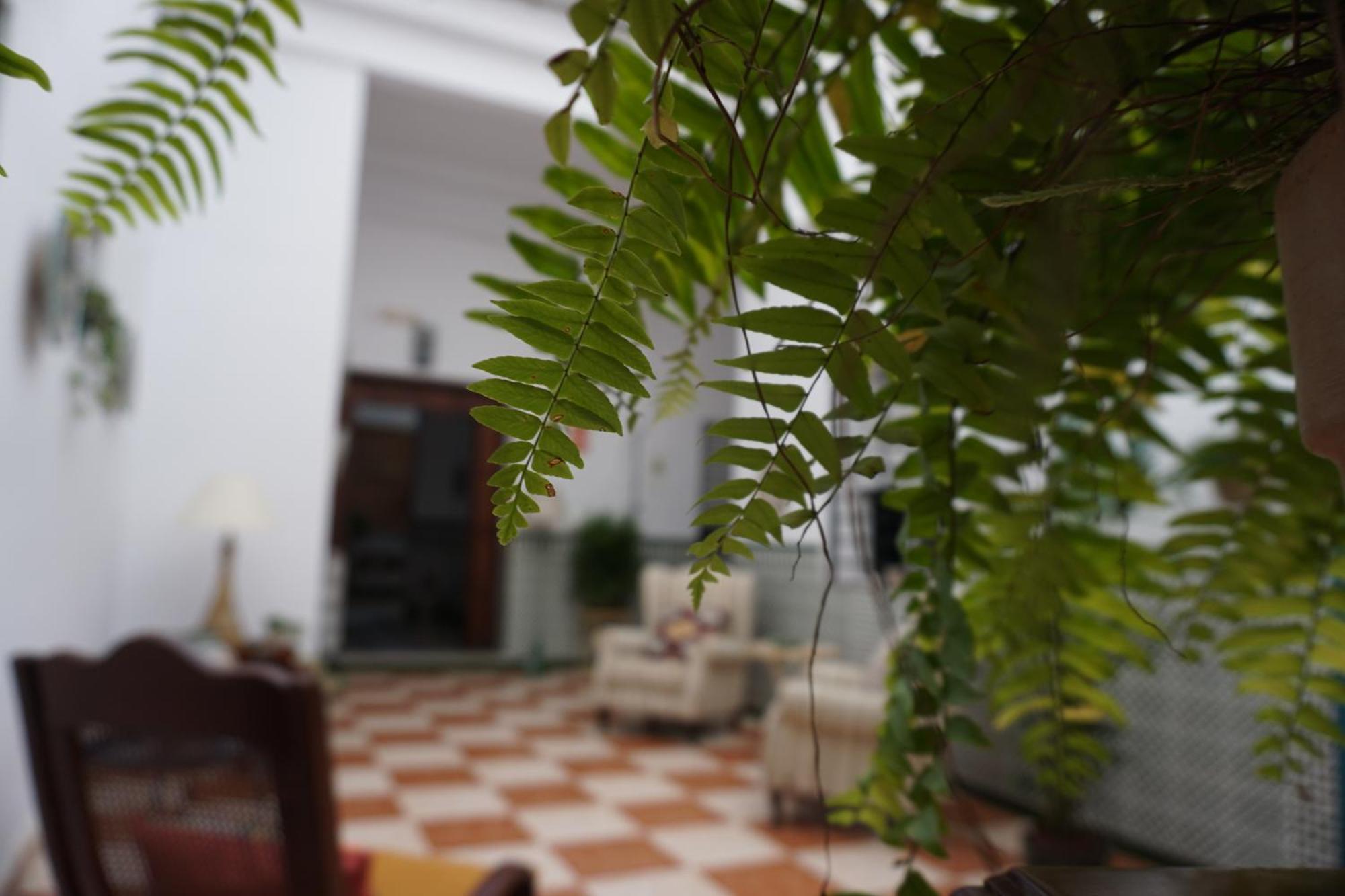 Montserrat Casa Del Mar 치피오나 외부 사진