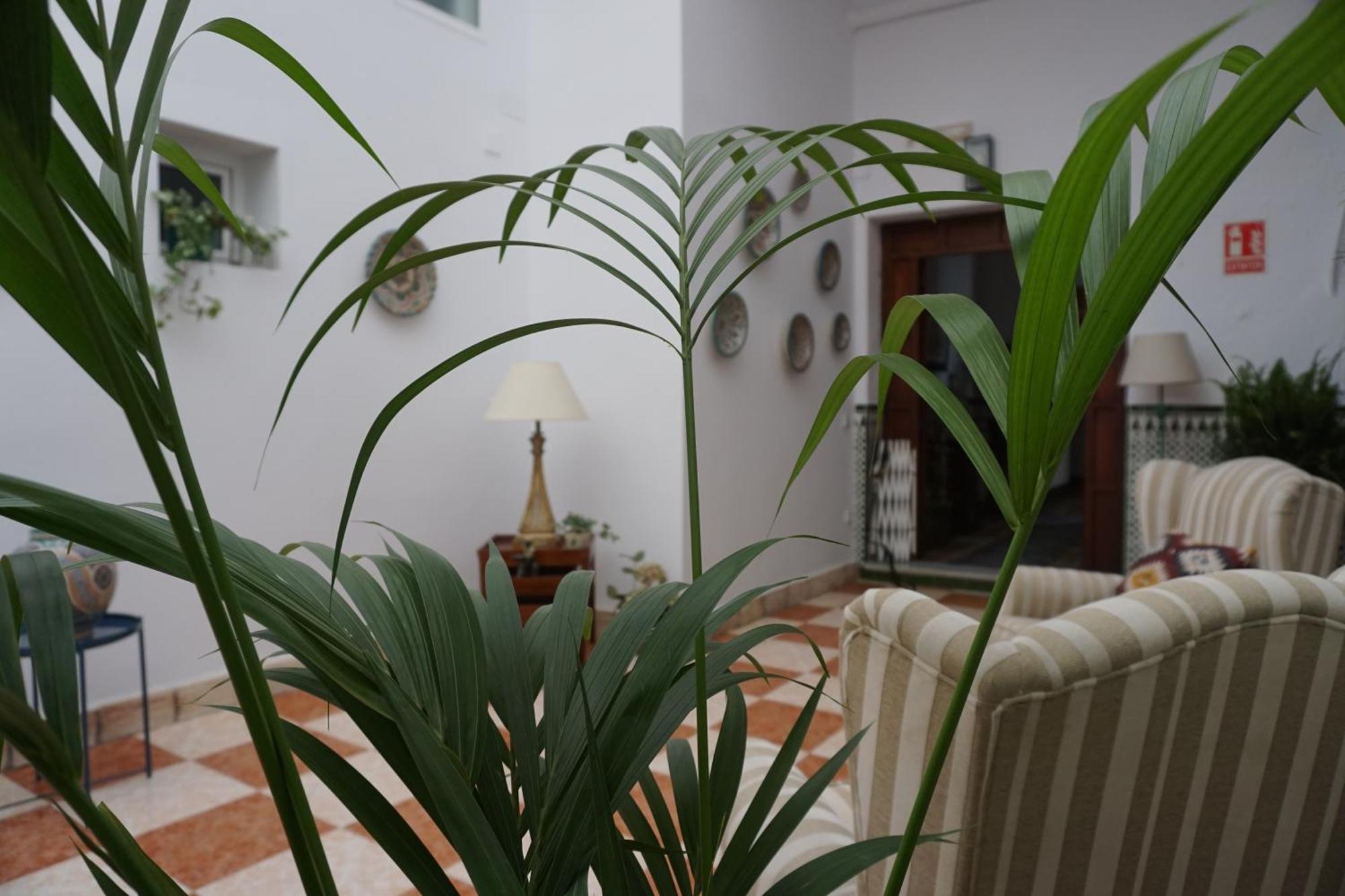 Montserrat Casa Del Mar 치피오나 외부 사진